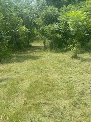 24319 Highway 60 Trunk Muscoda, WI 53573 - Photo 17 of 18