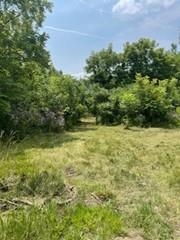 24319 Highway 60 Trunk Muscoda, WI 53573 - Photo 18 of 18