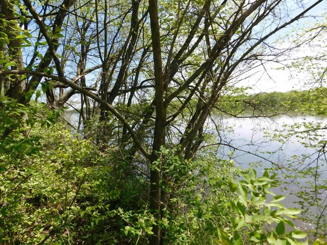 $145,000 | 24319 Highway 60 Trunk, Muscoda, WI 53573