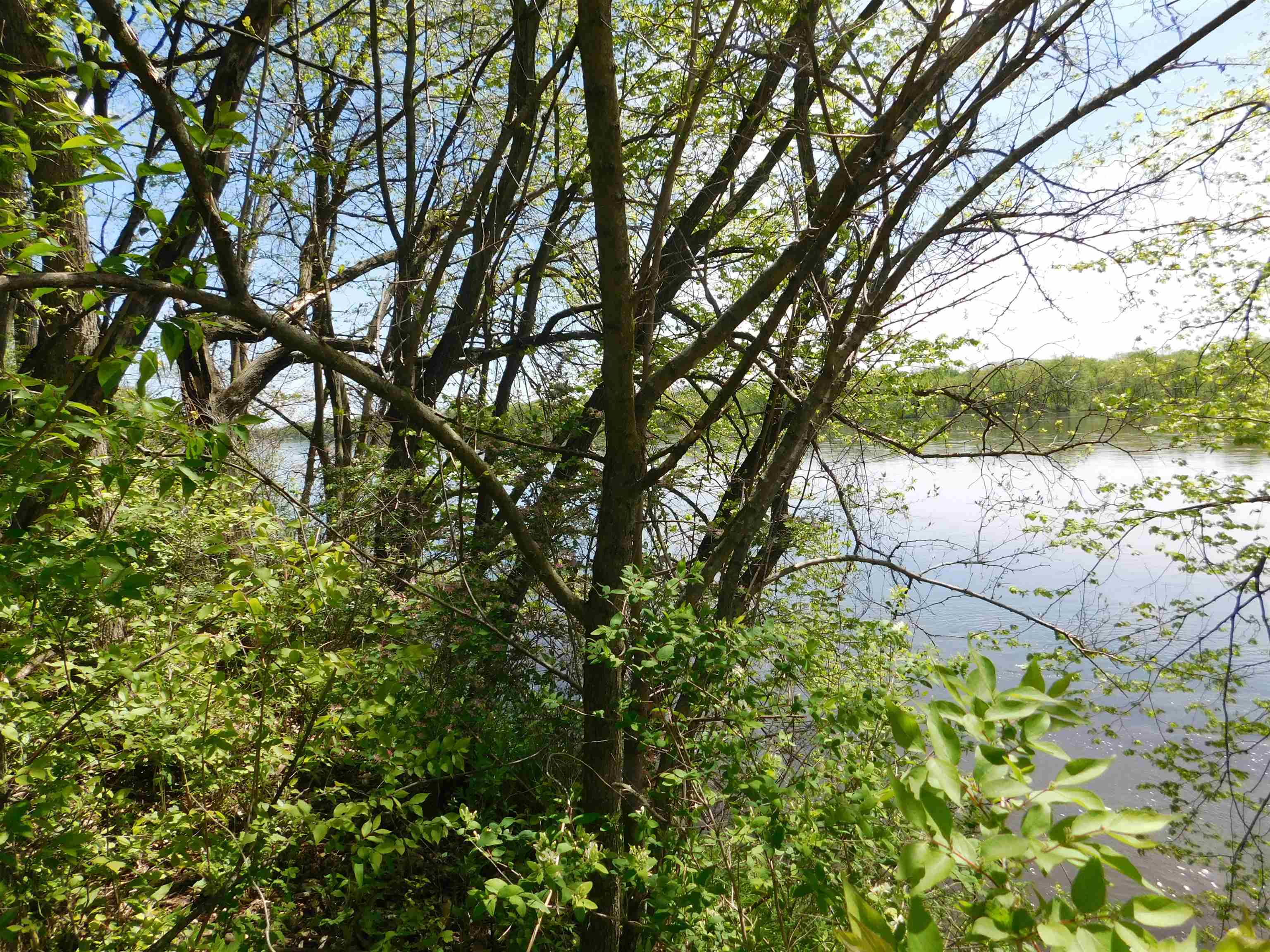 24319 Highway 60 Trunk Muscoda, WI 53573 - Photo 2 of 18