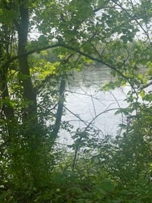 24319 Highway 60 Trunk Muscoda, WI 53573 - Photo 3 of 18