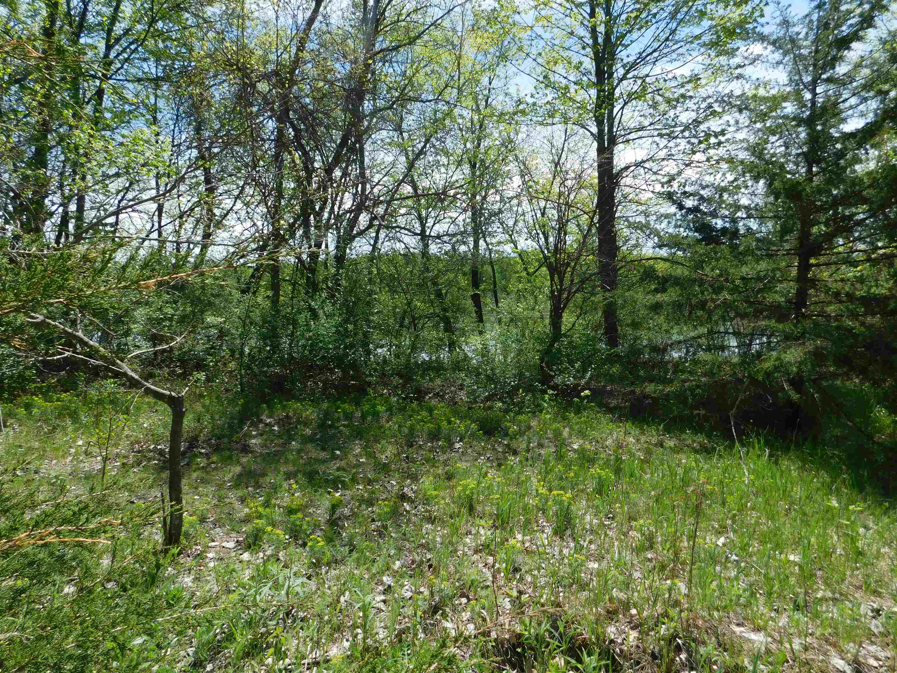 24319 Highway 60 Trunk Muscoda, WI 53573 - Photo 5 of 18