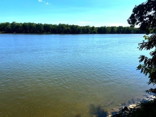 24319 Highway 60 Trunk Muscoda, WI 53573 - Photo 10 of 18