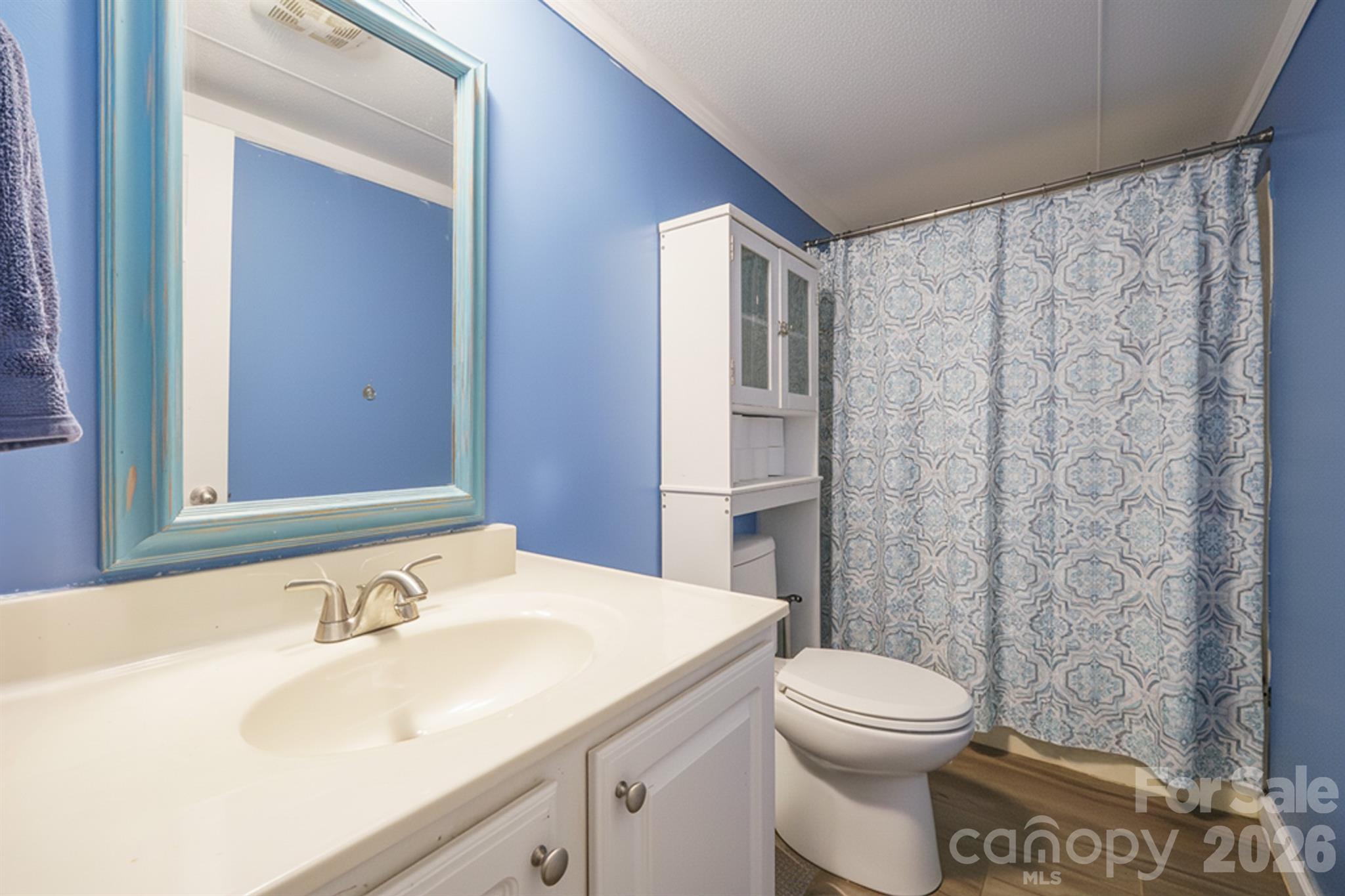 1775 Highway 70 Morganton, NC 28655 - Photo 13 of 18 a bathroom with a sink a toilet and shower curtain