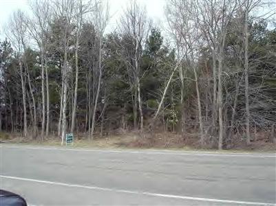 Primary Photo