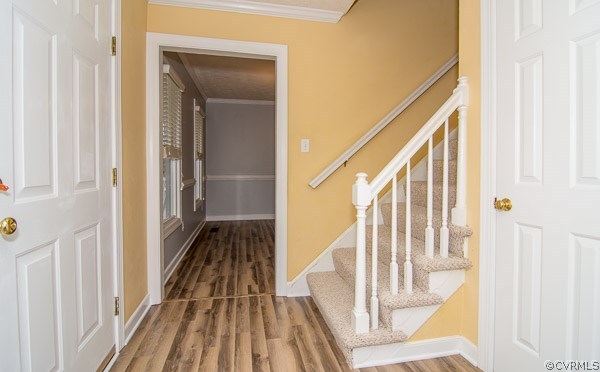 9028 Mt Eagle Road Ashland, VA 23005 - Photo 15 of 33 Gallery Image 15