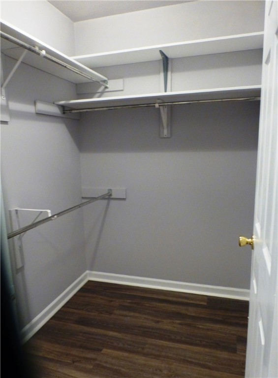 106 Holly Ridge Drive Anderson, SC 29621 - Photo 21 of 30 Master Suite WI Closet