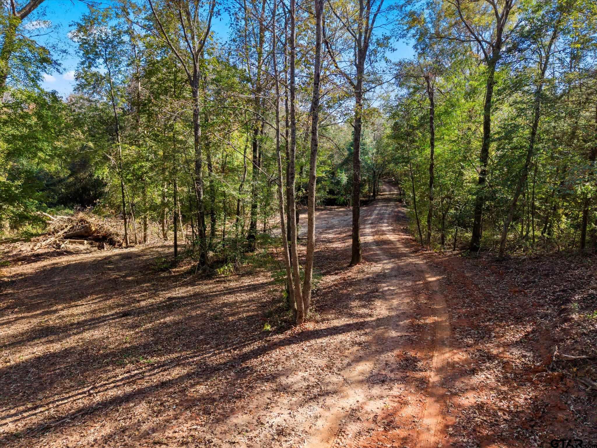 Tbd Woodchuck Road Leesburg, TX 75451 - Photo 12 of 34 a view of park