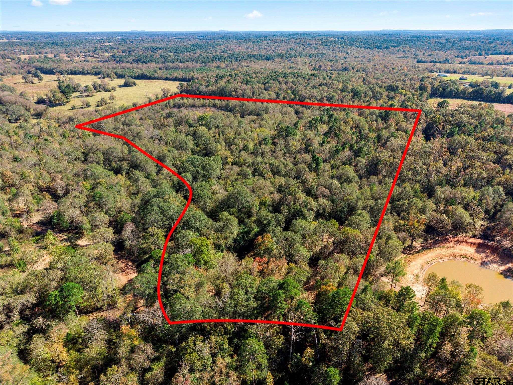 Tbd Woodchuck Road Leesburg, TX 75451 - Photo 23 of 34
