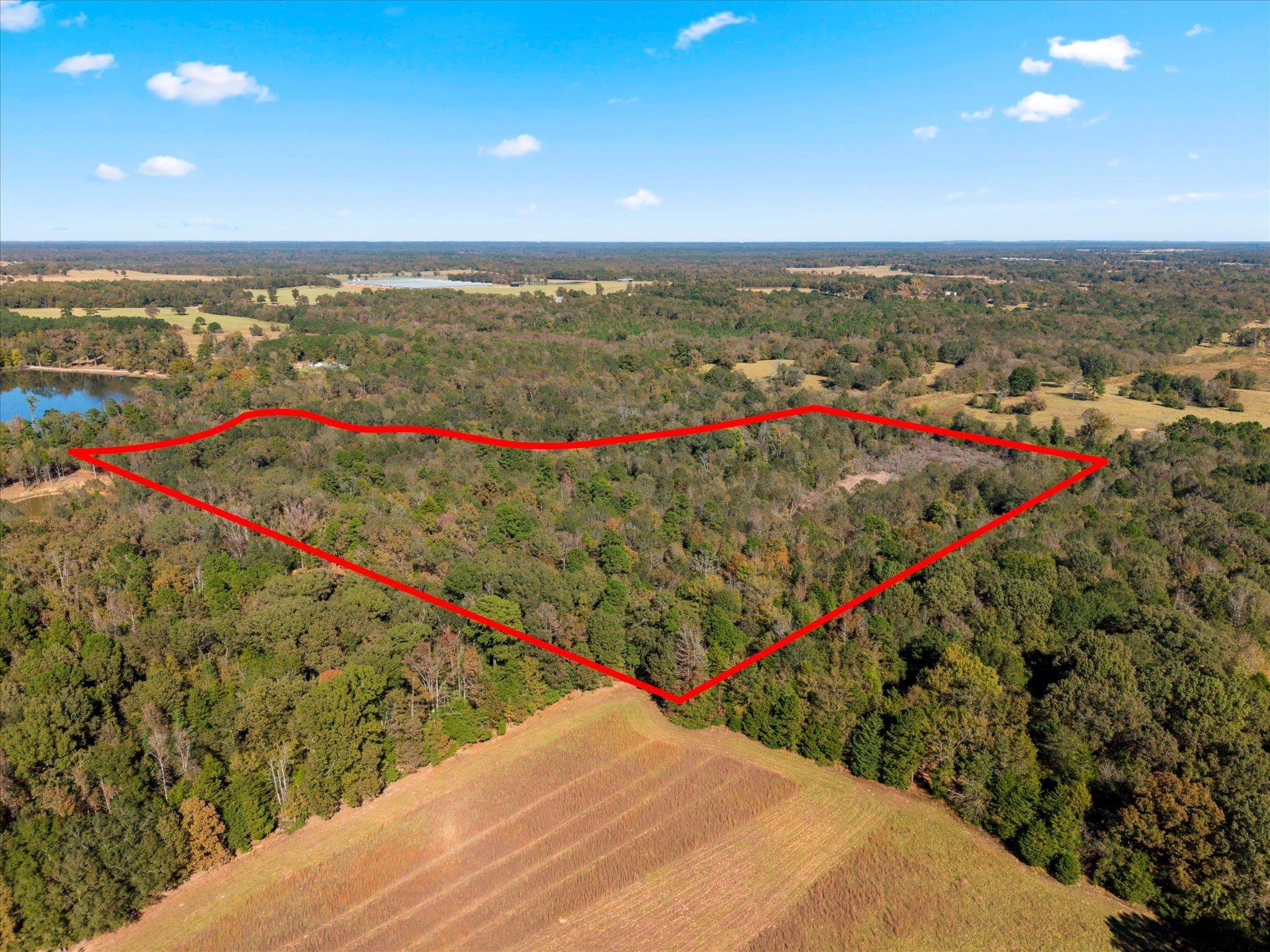 Tbd Woodchuck Road Leesburg, TX 75451 - Photo 25 of 34 a view of a city