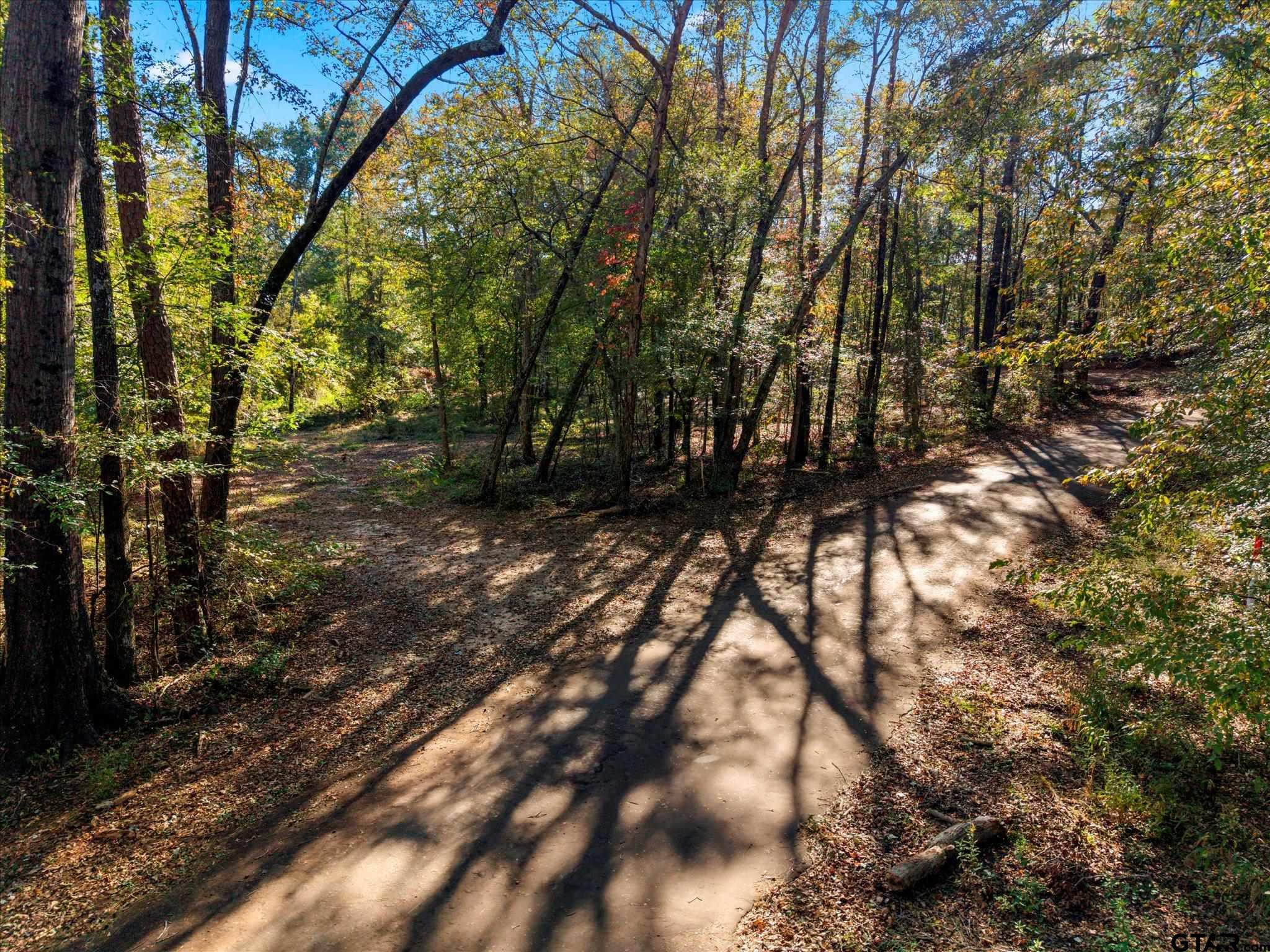 Tbd Woodchuck Road Leesburg, TX 75451 - Photo 27 of 34 a view of tree