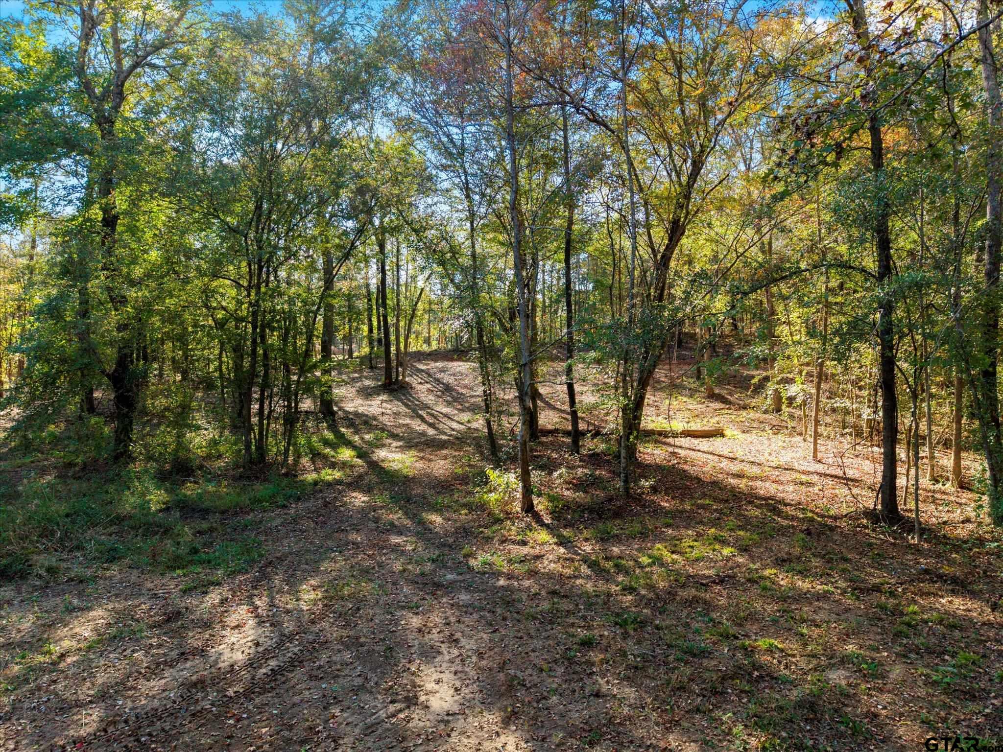 Tbd Woodchuck Road Leesburg, TX 75451 - Photo 3 of 34 a view of outdoor space with trees