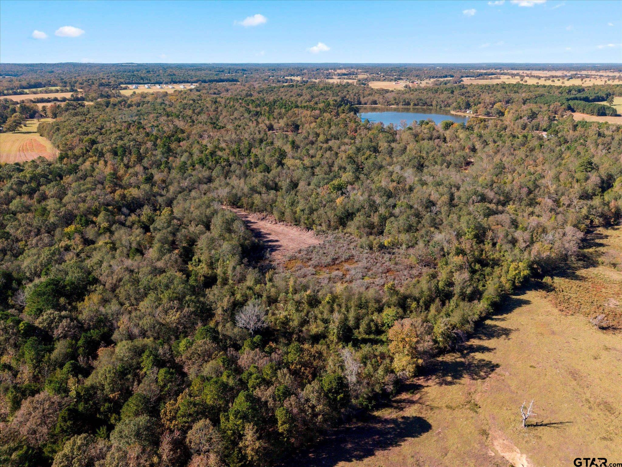 Tbd Woodchuck Road Leesburg, TX 75451 - Photo 31 of 34 a view of city and ocean