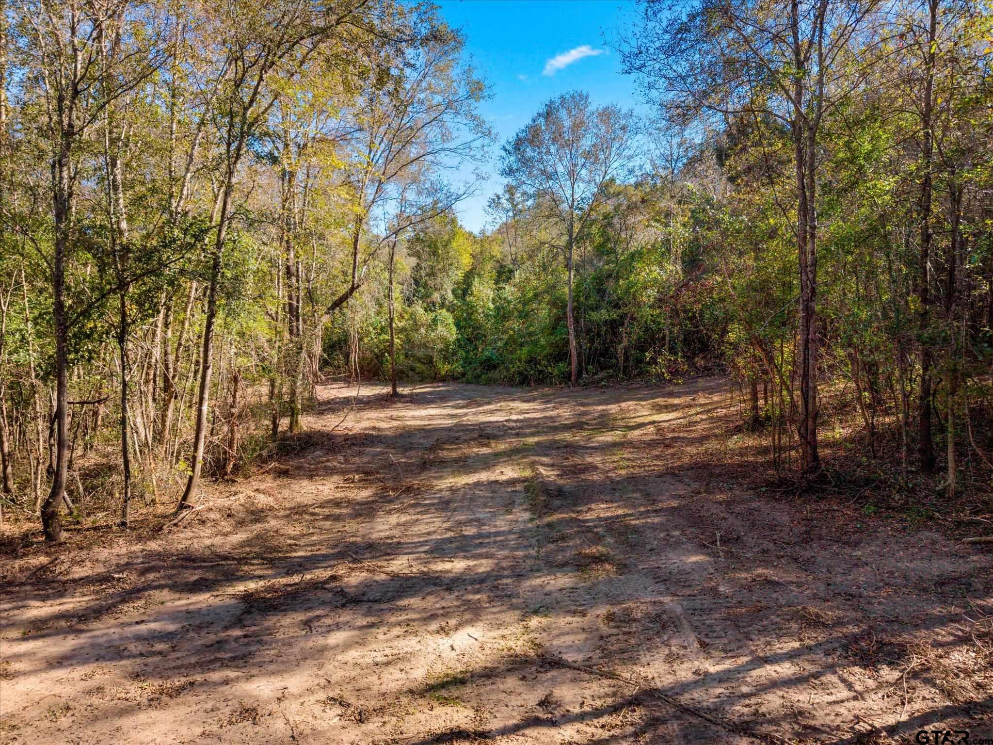 Tbd Woodchuck Road Leesburg, TX 75451 - Photo 5 of 34 a view of a tree in a yard