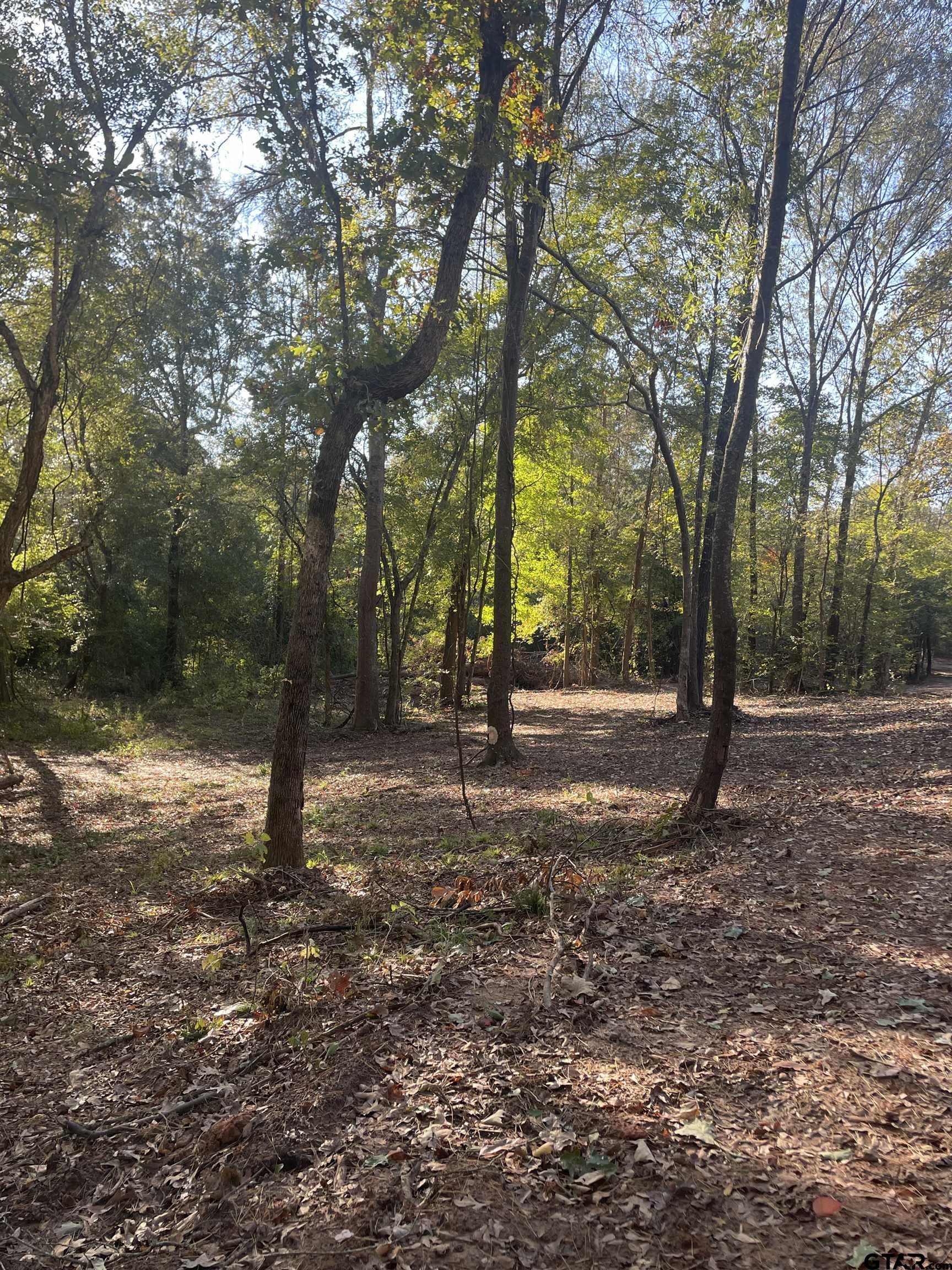 Tbd Woodchuck Road Leesburg, TX 75451 - Photo 7 of 34 a view of outdoor space with trees