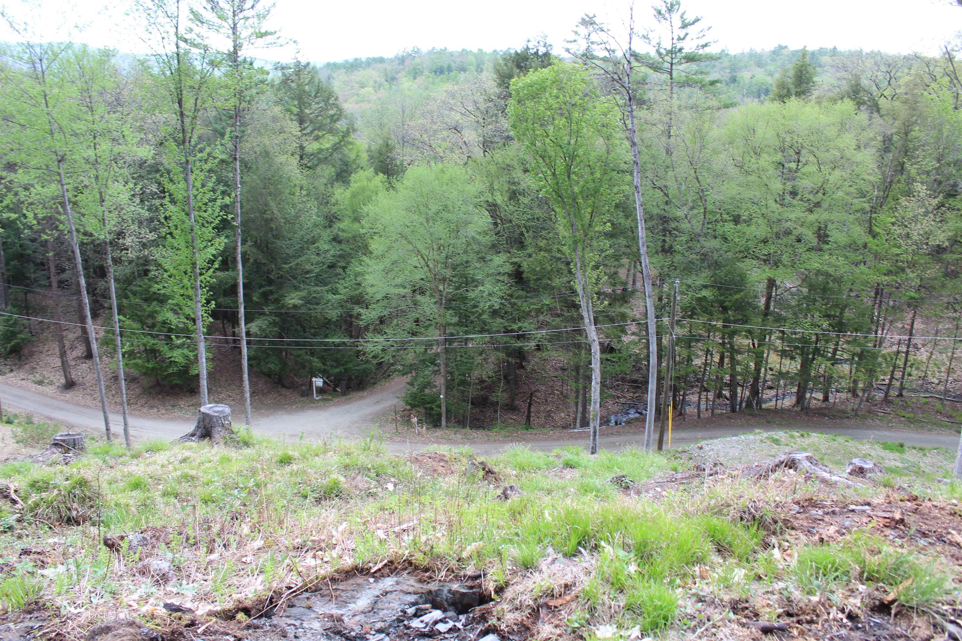 Lot 23-24 Wetherbee Road Lyman, NH 03585 - Photo 22 of 54