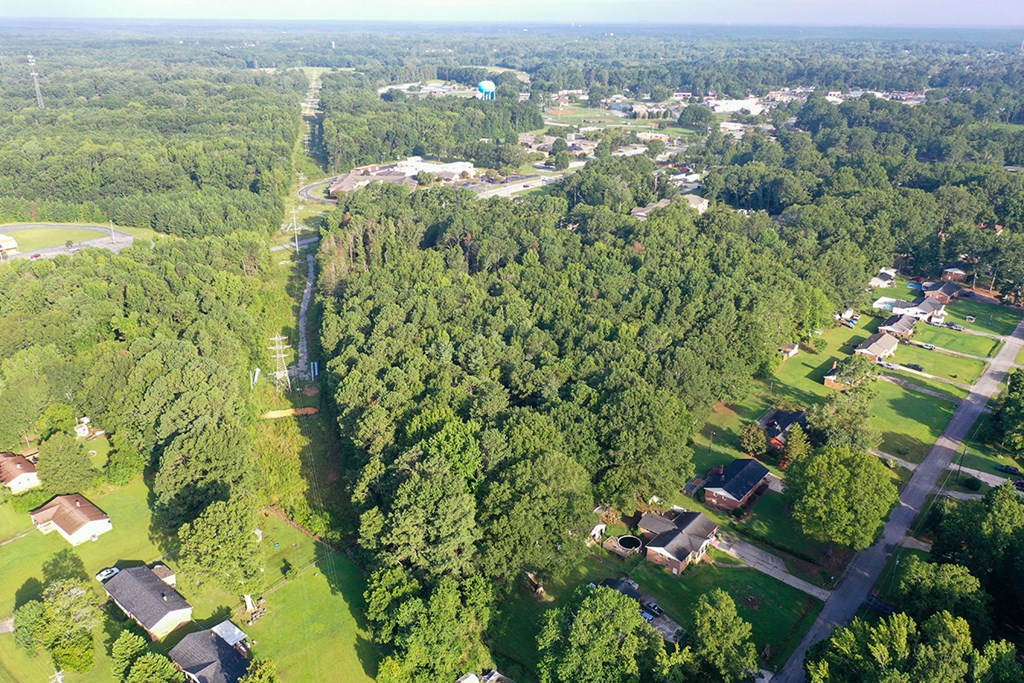 0 Jacobs Highway Clinton, SC 29325 - Photo 4 of 4