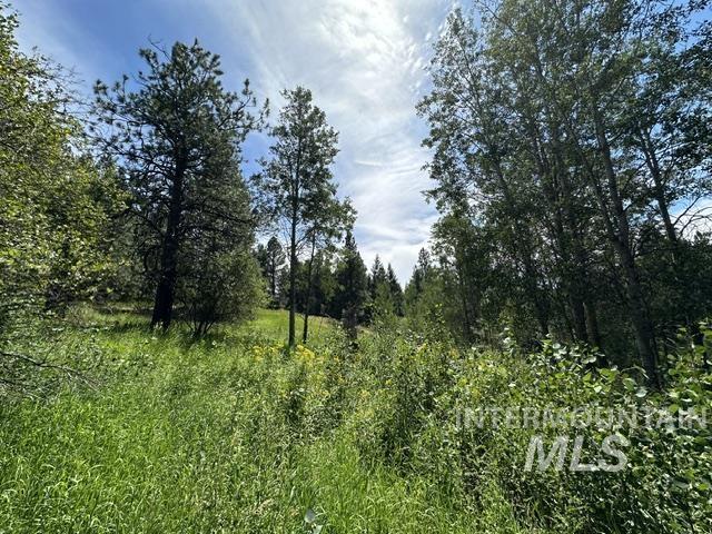 0 Parkins Road Troy, ID 83871 - Photo 17 of 33