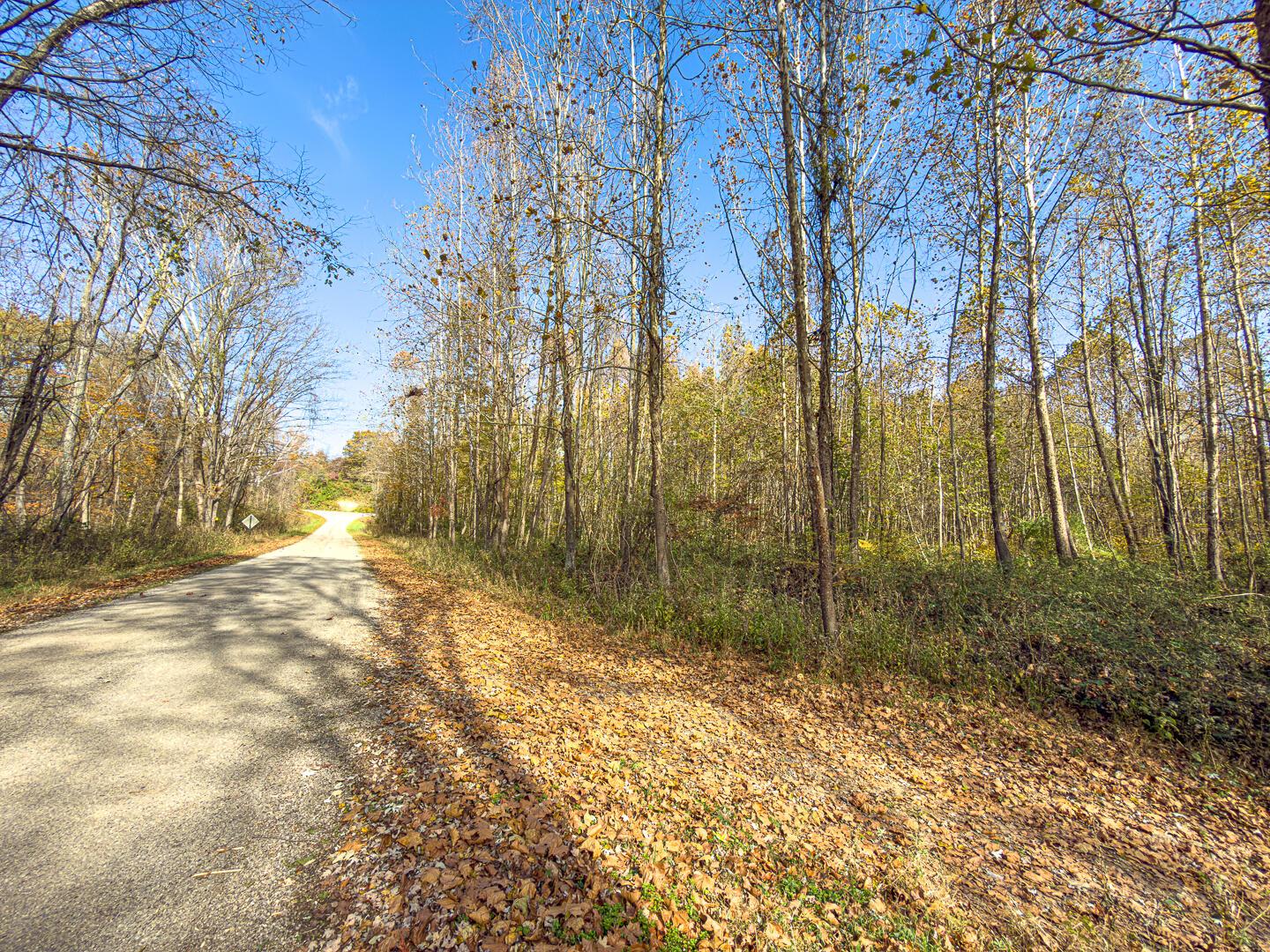0 Hawk Station Road Wellston, OH 45692 - Photo 7 of 20 Thompsonville Rd 35-7