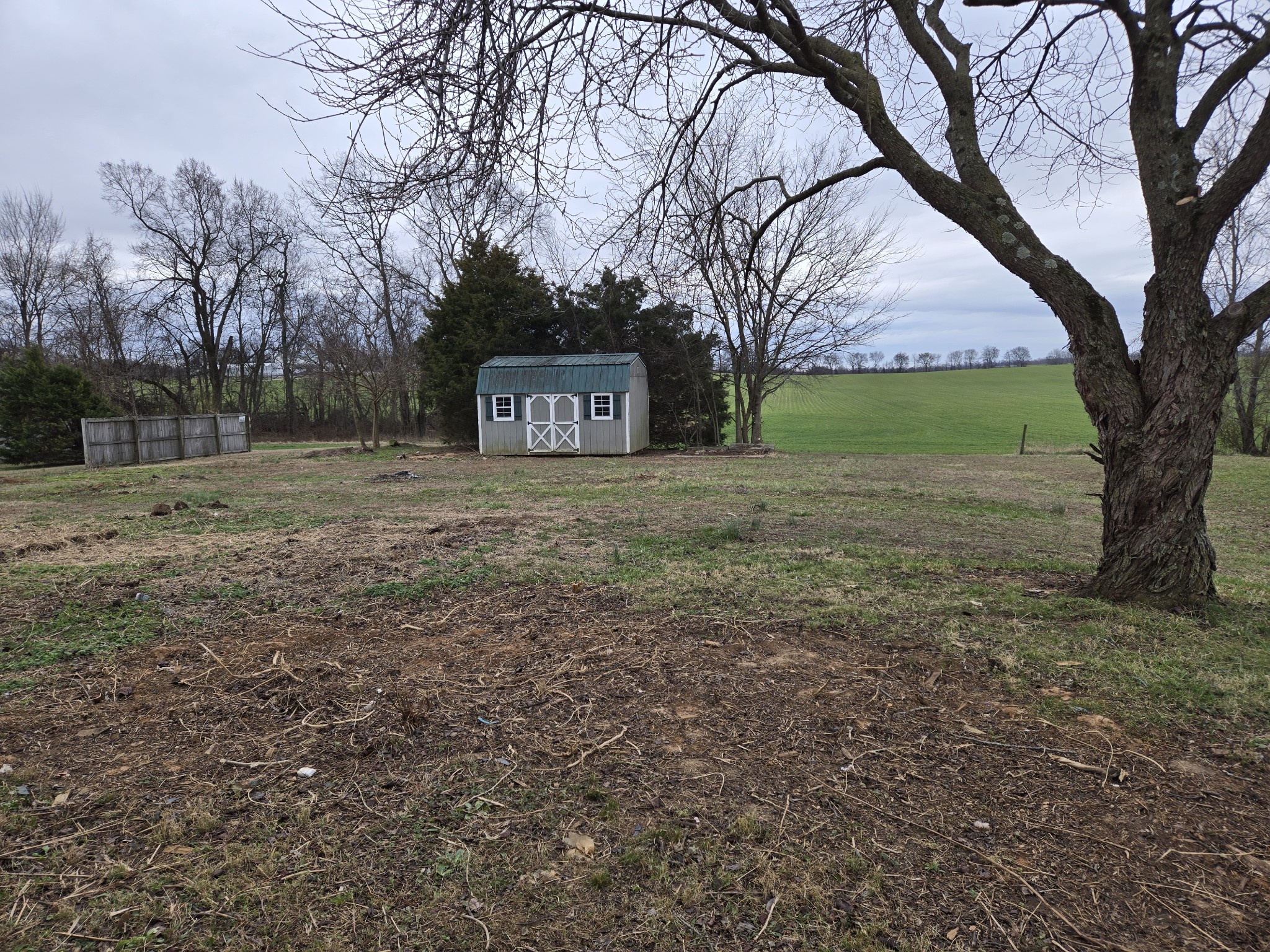 337 Bumpus Mill Road Oak Grove, KY 42262 - Photo 2 of 22 a view of a yard with trees