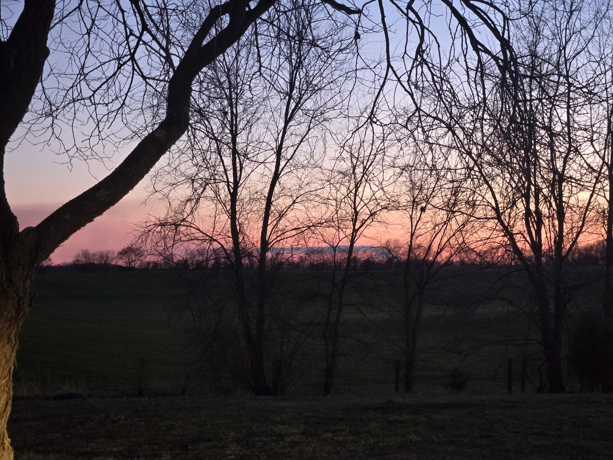 337 Bumpus Mill Road Oak Grove, KY 42262 - Photo 5 of 22 a view of outdoor space with trees