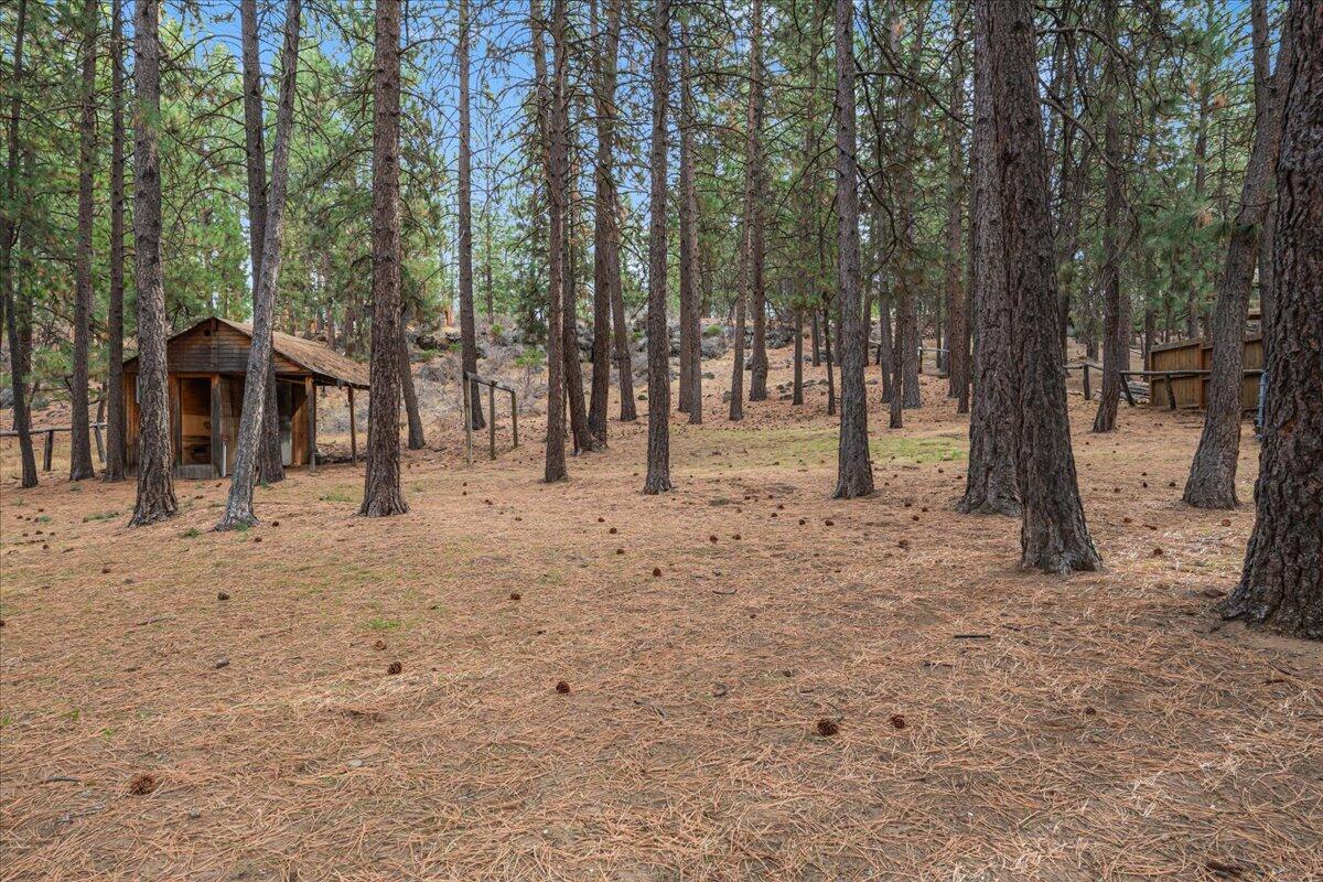 60214 Agate Road Bend, OR 97702 - Photo 26 of 31 Backyard
