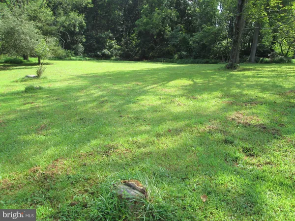 a view of a field with a trees in the background