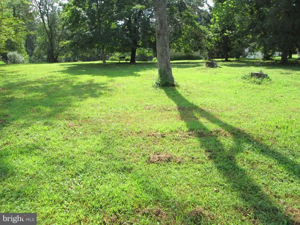 a view of field with trees