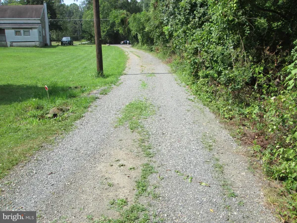 a view of a yard with plants and a fountain