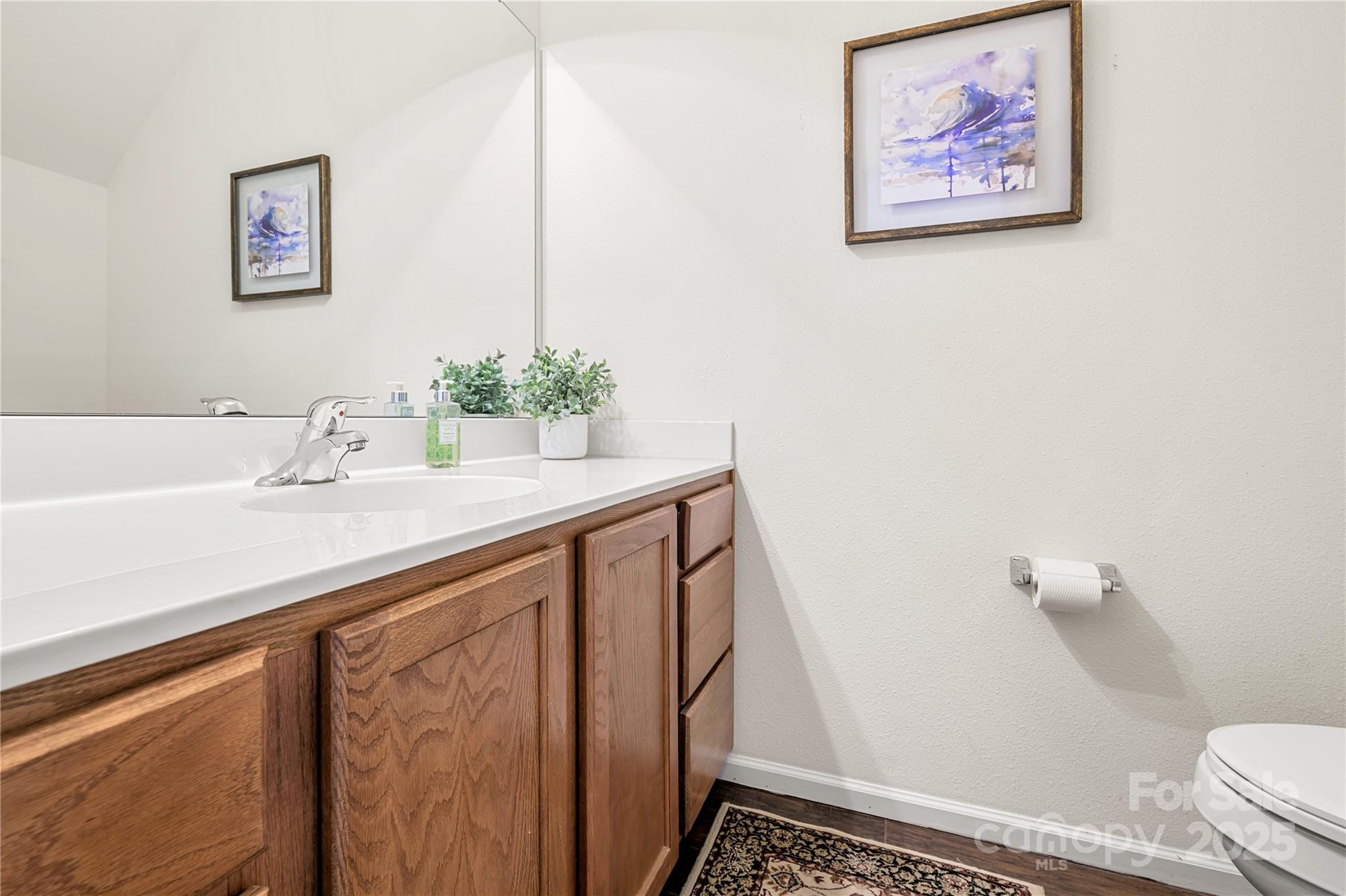 2443 Redmayne Lane Fort Mill, SC 29707 - Photo 15 of 43 a bathroom with a sink and a mirror
