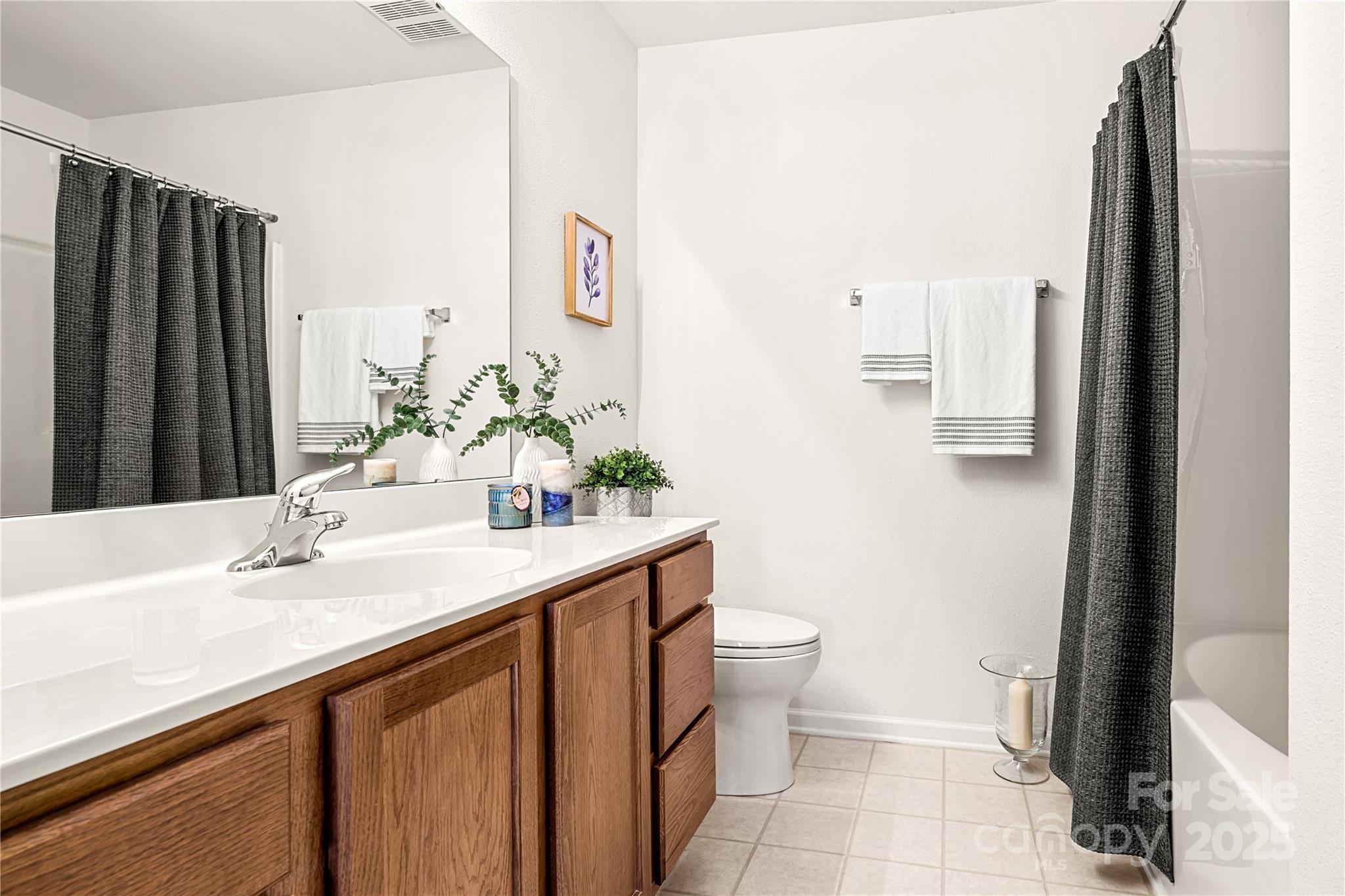 2443 Redmayne Lane Fort Mill, SC 29707 - Photo 22 of 43 a bathroom with a sink a toilet and shower curtain