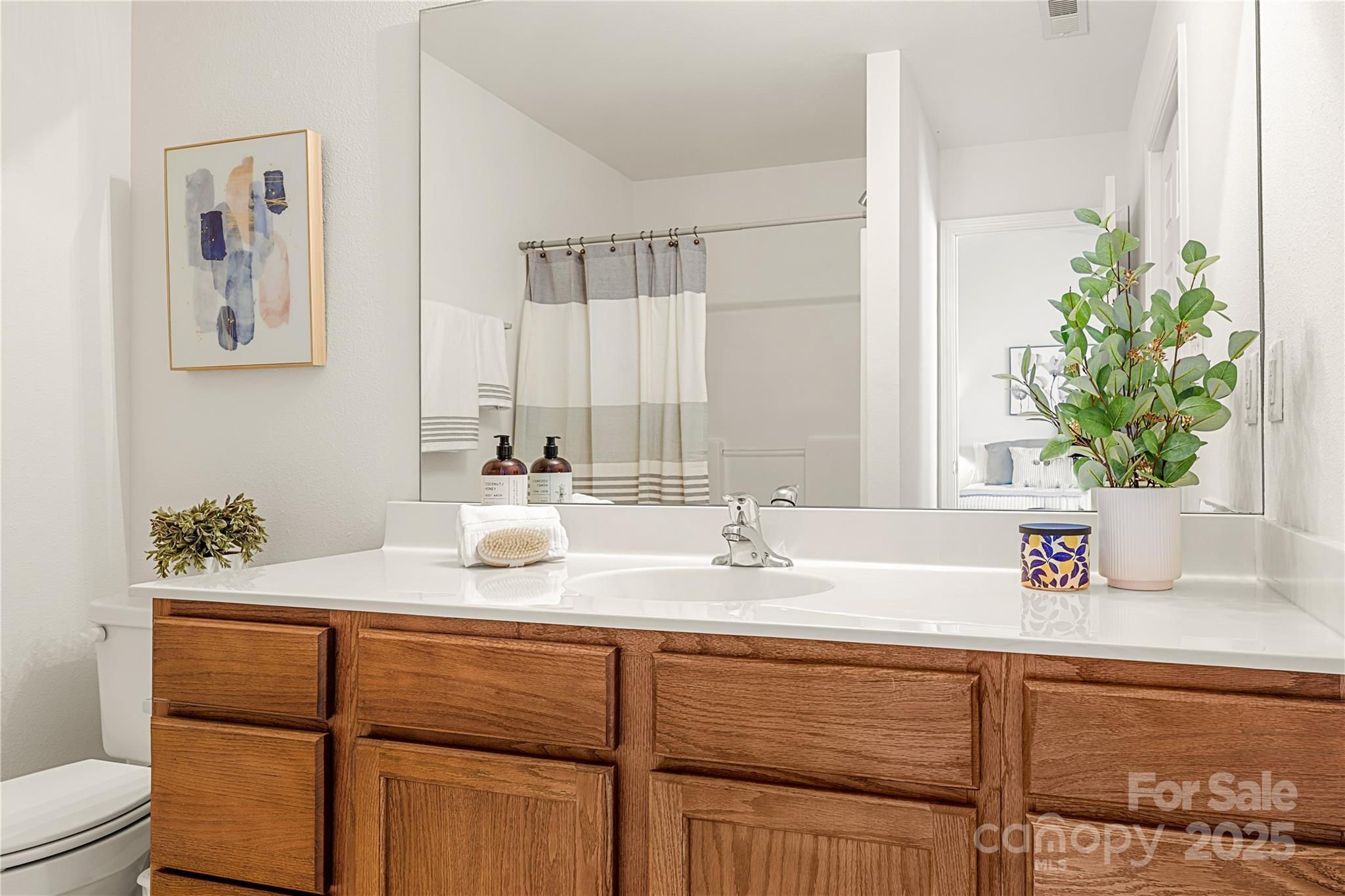 2443 Redmayne Lane Fort Mill, SC 29707 - Photo 28 of 43 a bathroom with a sink and a mirror