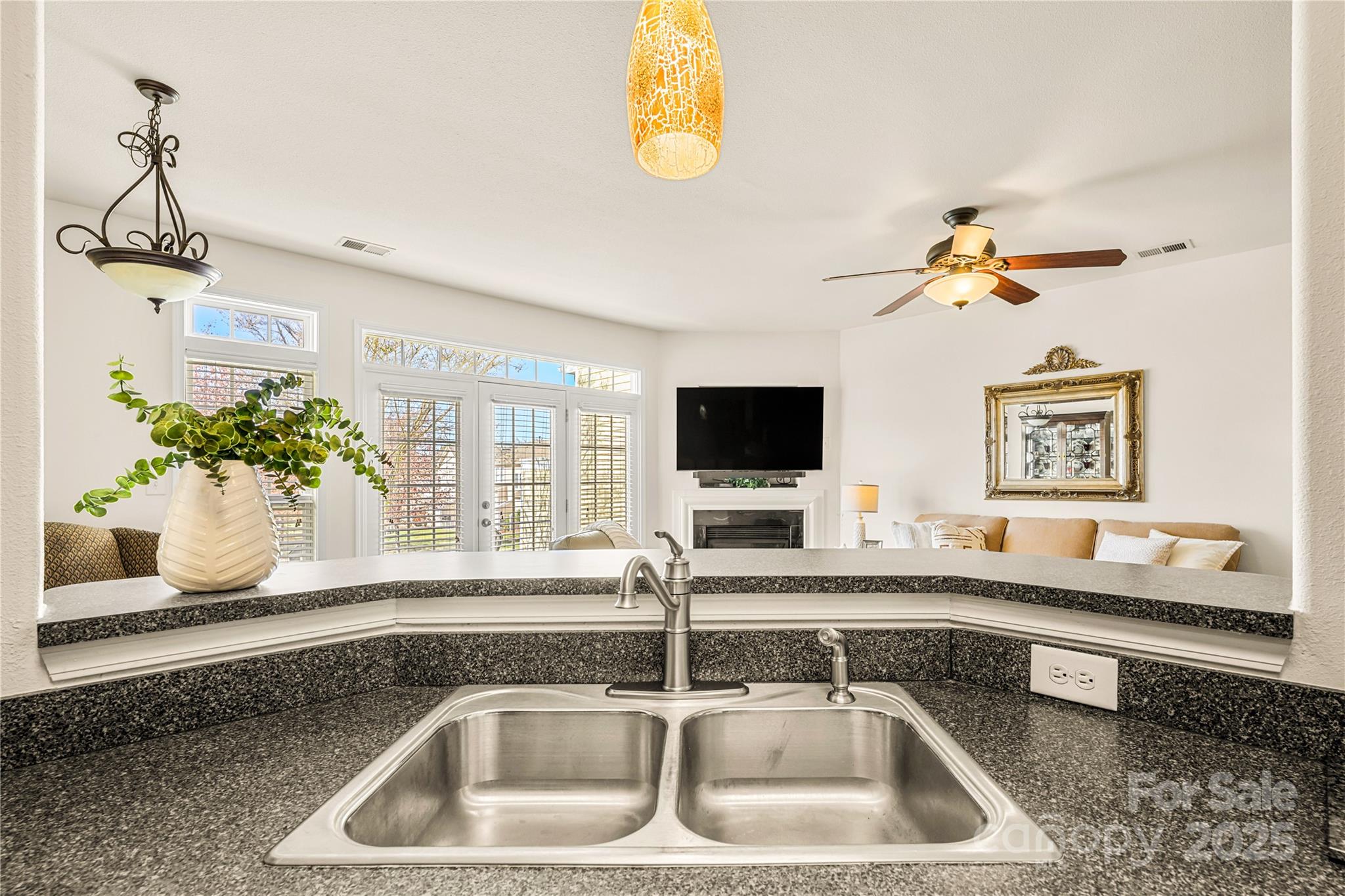 2443 Redmayne Lane Fort Mill, SC 29707 - Photo 9 of 43 a kitchen sink with a potted plant on a counter and a a flat screen tv