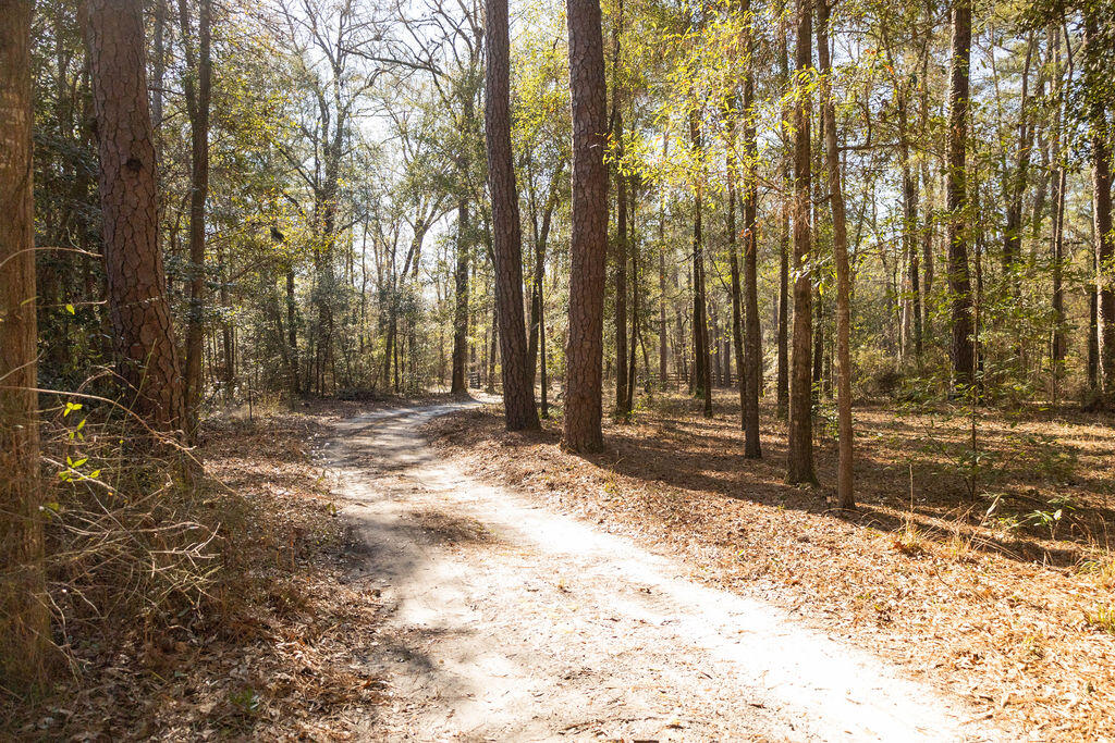 78 Badger Lane Round O, SC 29474 - Photo 2 of 25 3T6A8921