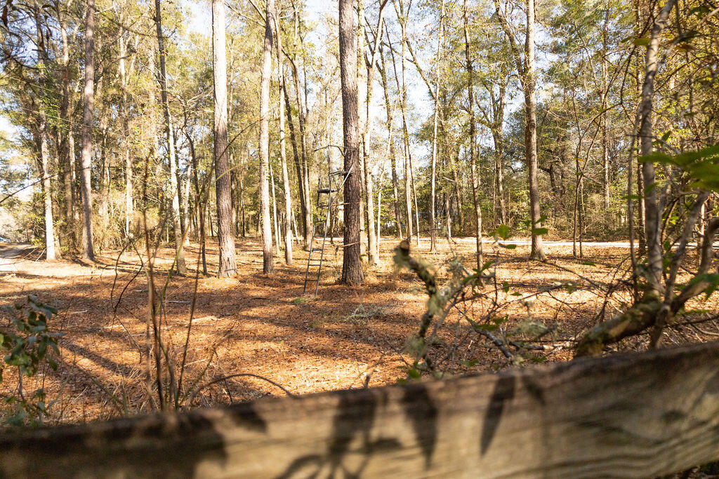 78 Badger Lane Round O, SC 29474 - Photo 3 of 25 3T6A8917