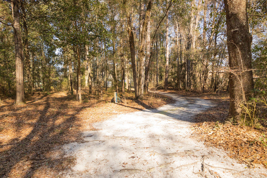 78 Badger Lane Round O, SC 29474 - Photo 4 of 25 3T6A8919