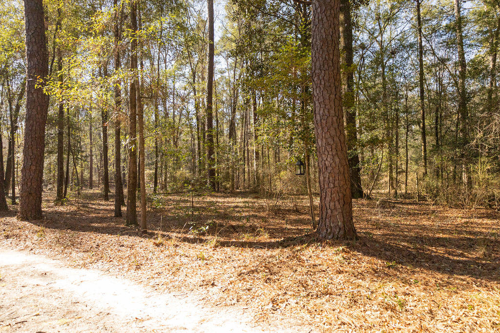78 Badger Lane Round O, SC 29474 - Photo 5 of 25 3T6A8922