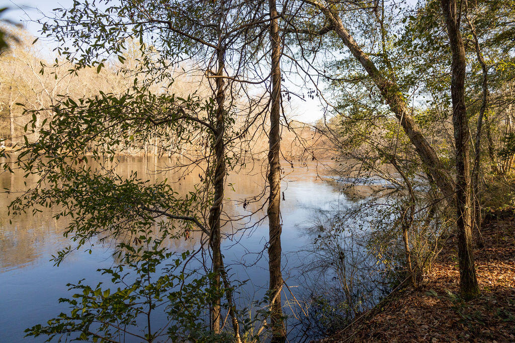 78 Badger Lane Round O, SC 29474 - Photo 8 of 25 3T6A8906