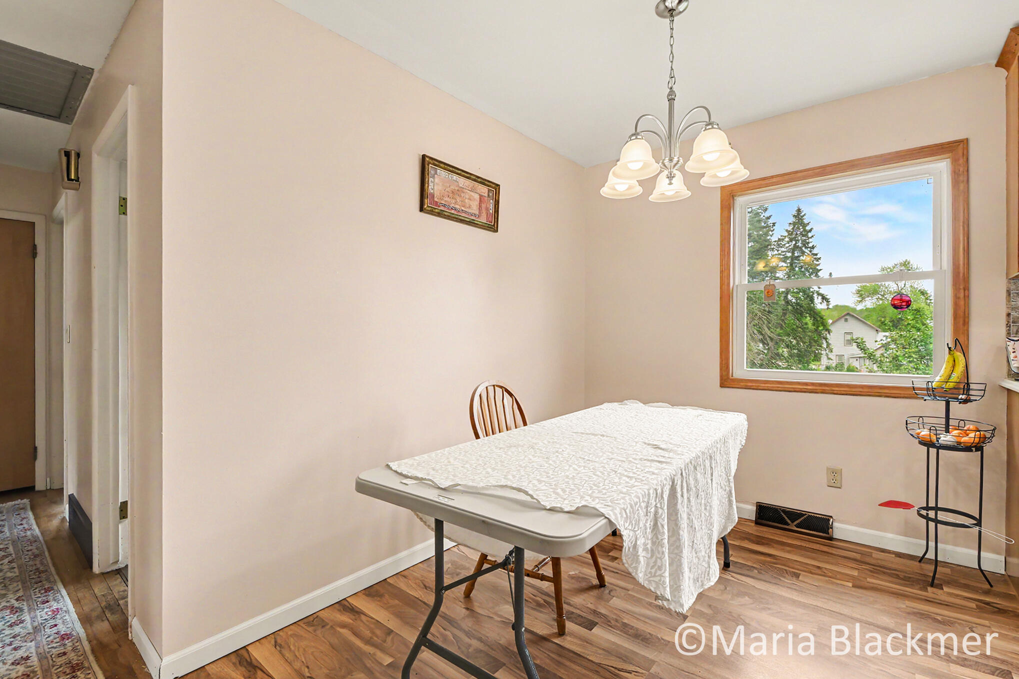 640 Division Street Ionia, MI 48846 - Photo 14 of 30 DSC_1419