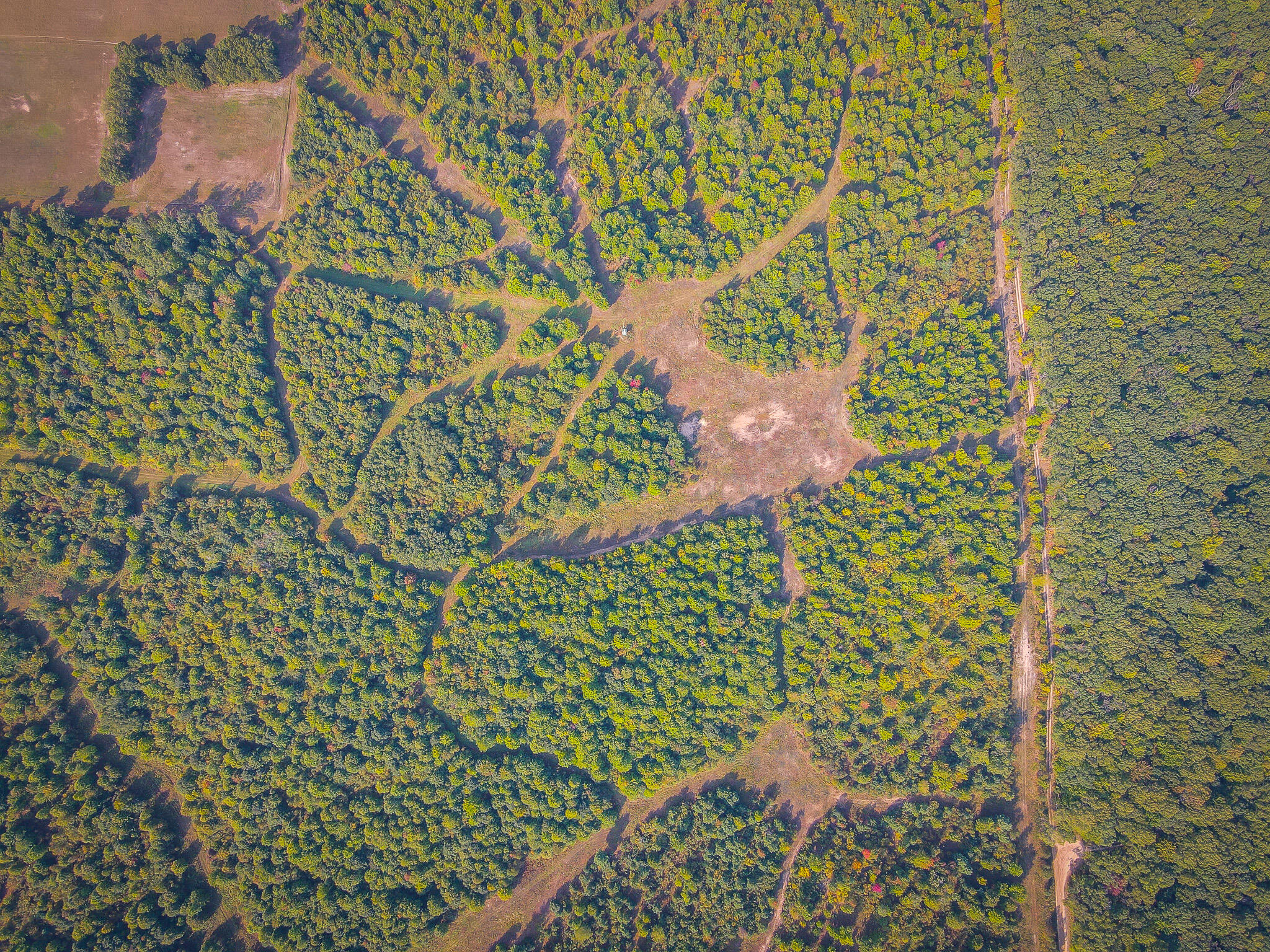 16 East 16 Mile Road Bitely, MI 49309 - Photo 17 of 29 dji_fly_20240913_103938_836_172623872344