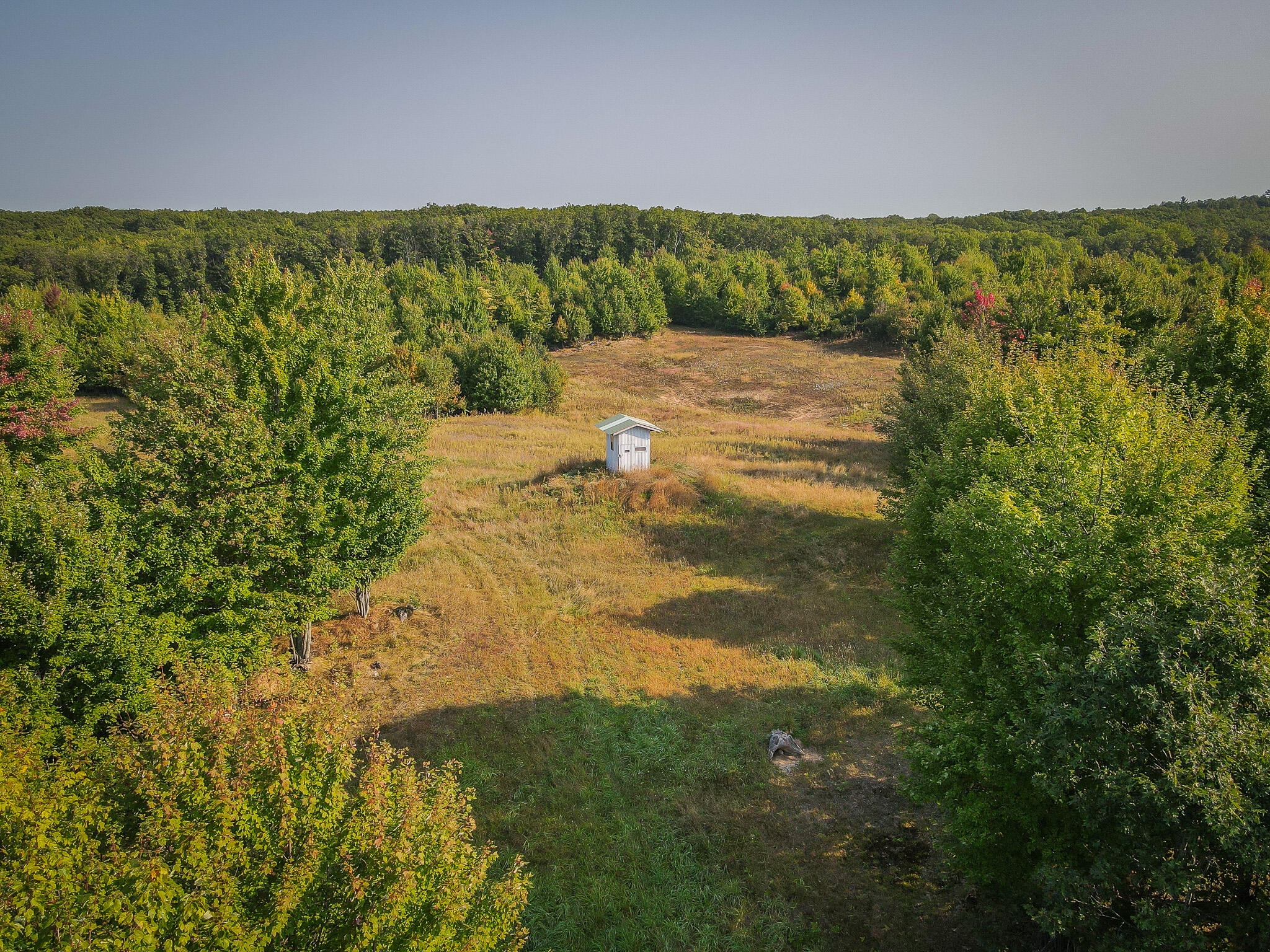 16 East 16 Mile Road Bitely, MI 49309 - Photo 21 of 29 dji_fly_20240913_103122_821_172623790165