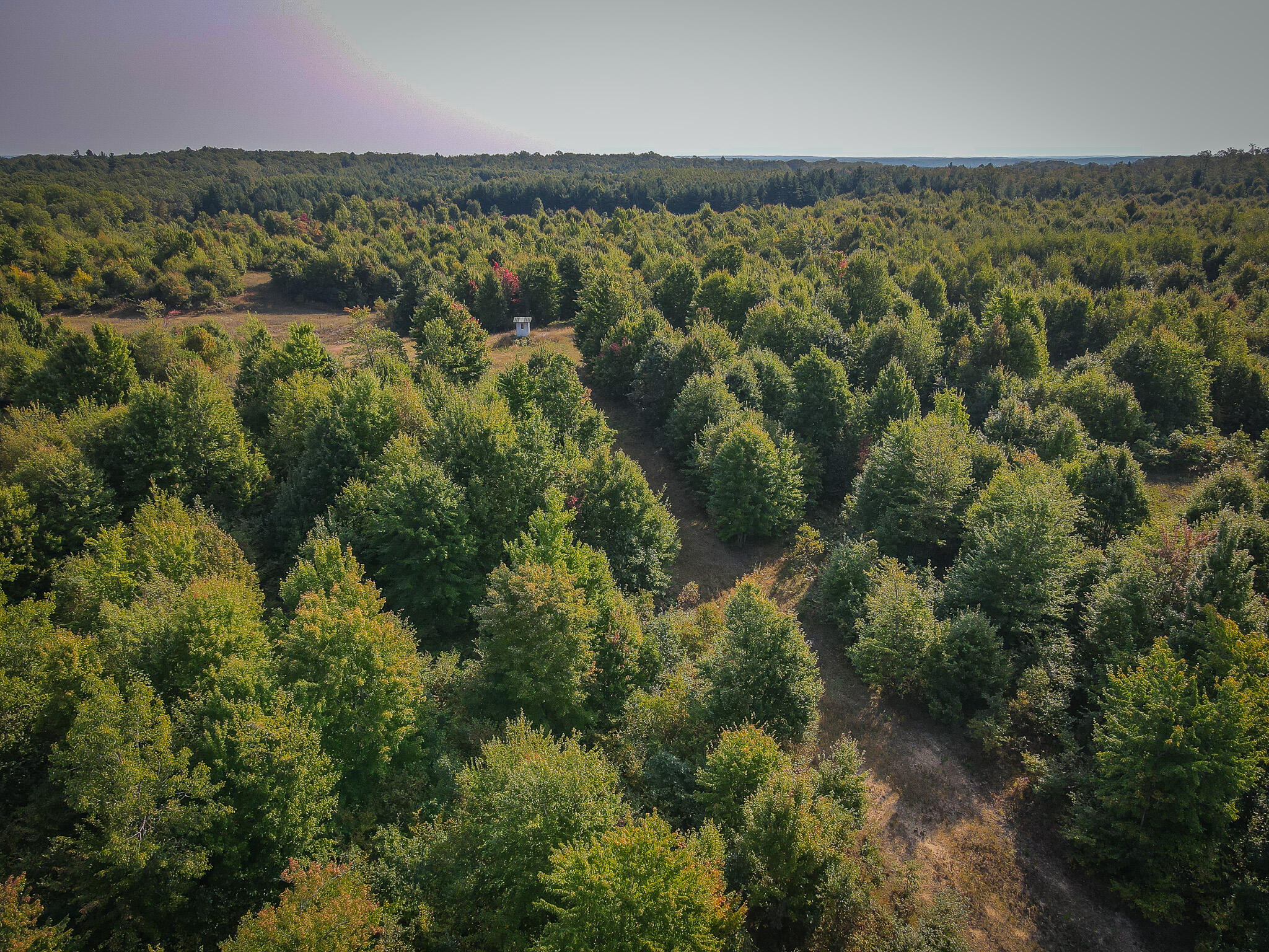16 East 16 Mile Road Bitely, MI 49309 - Photo 8 of 29 dji_fly_20240913_105144_871_172623914764