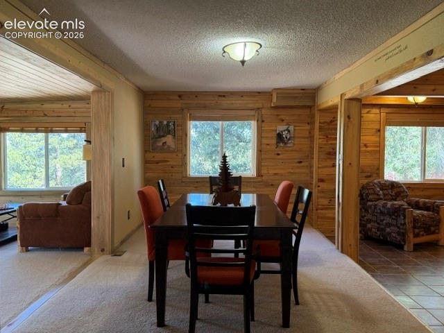 269 Southpark Road Florissant, CO 80816 - Photo 16 of 37