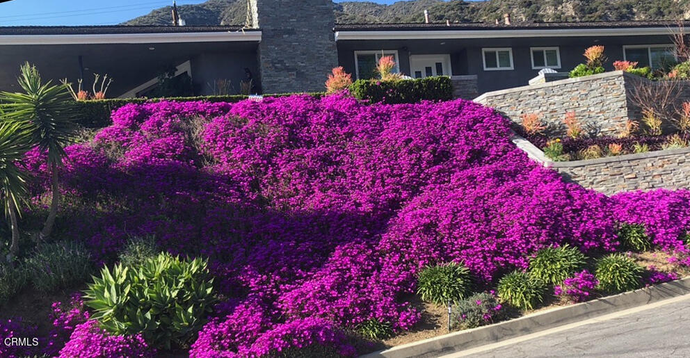 2209 Cielo Place Arcadia, CA 91006 - Photo 44 of 49 a view of a house with a yard and fountain