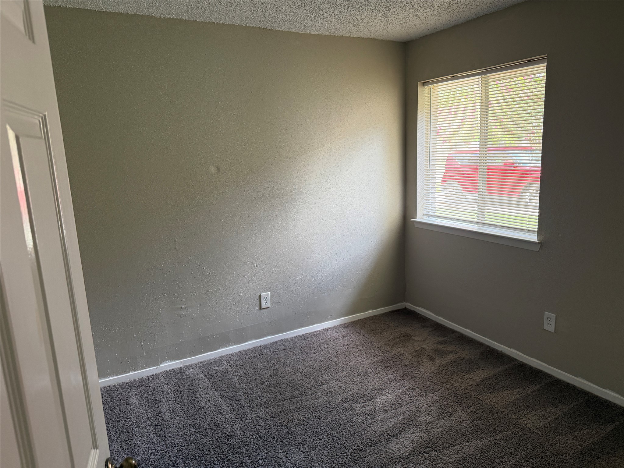 23423 Tree House Lane Spring, TX 77373 - Photo 14 of 22 natural light