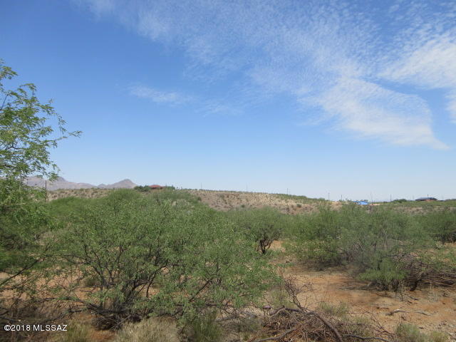 102 Camino Embarcadero, Unit 159 Rio Rico, AZ 85648 - Photo 8 of 13 a view of a field of grass and trees