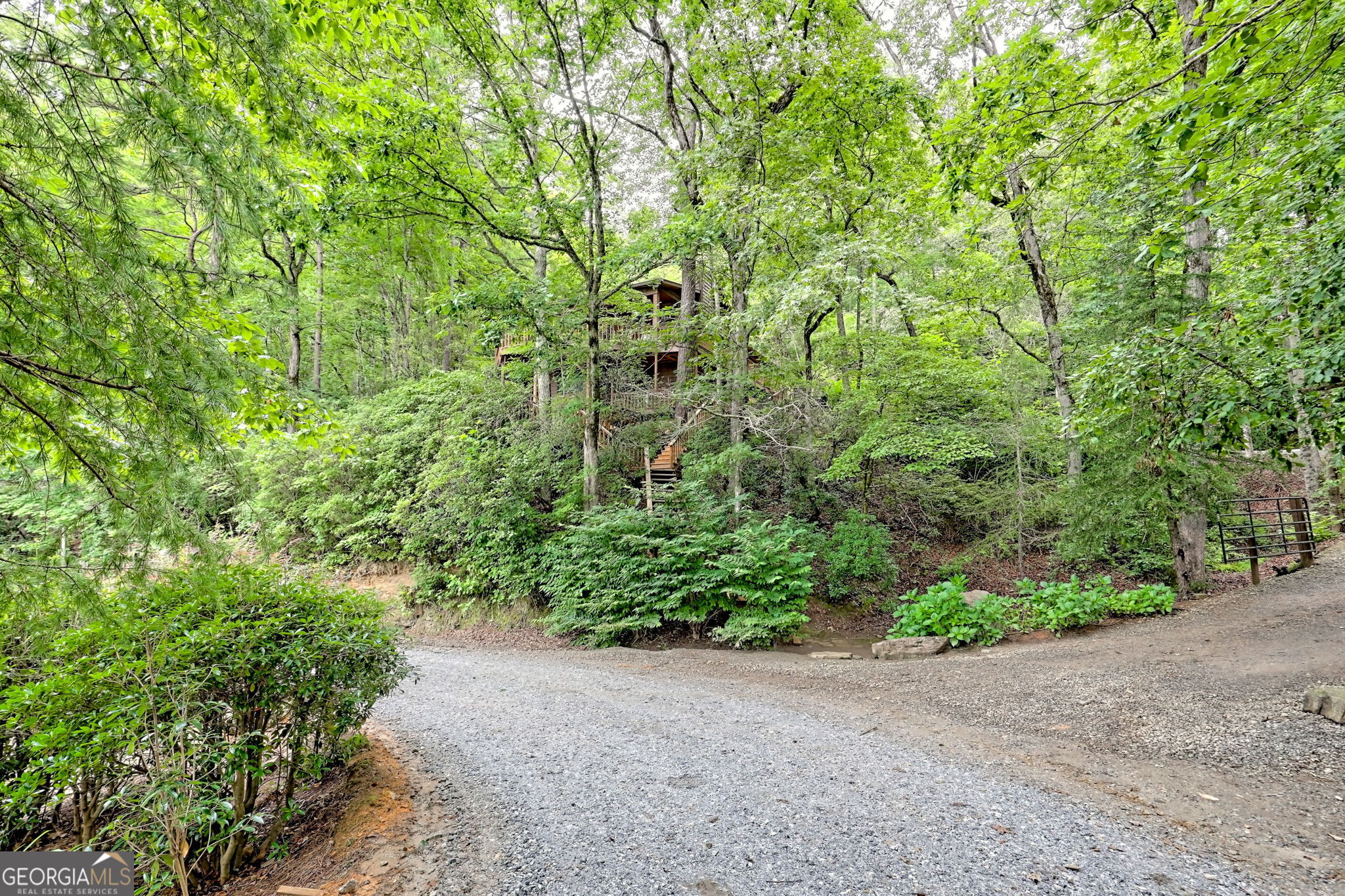 3019 Moccasin Creek Road Clarkesville, GA 30523 - Photo 68 of 72 a view of a garden with plants