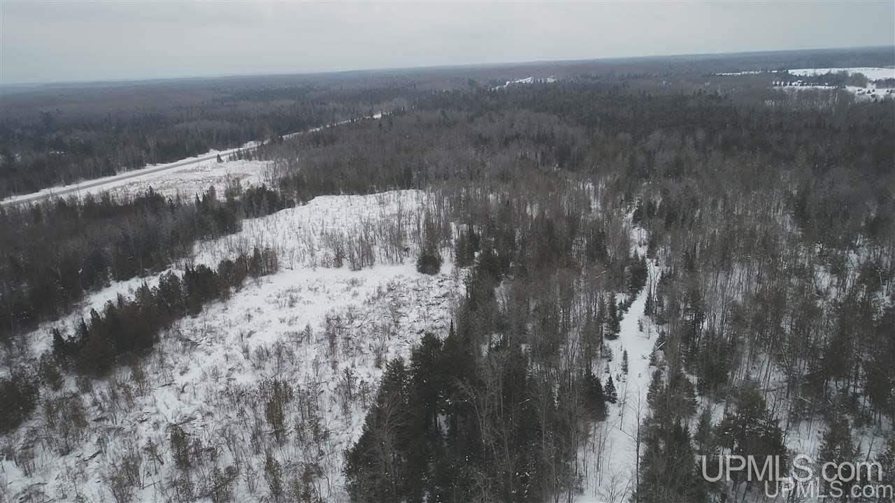 75-acres West Cold Springs Road Chatham, MI 49816 - Photo 42 of 42