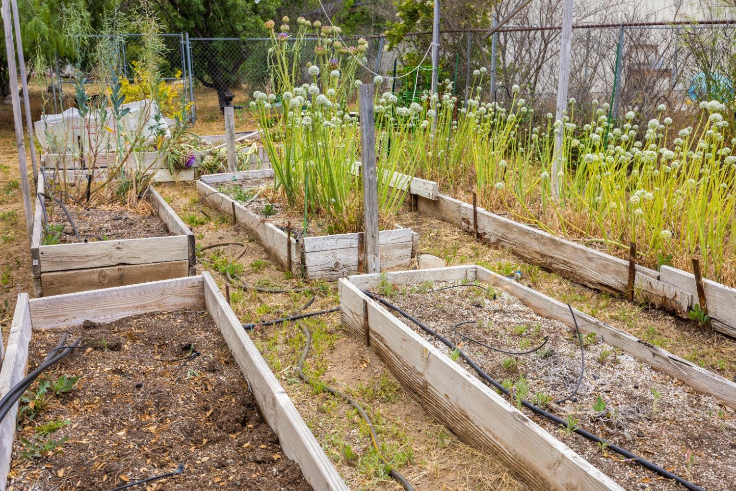 272 Rockaway Road Oak View, CA 93022 - Photo 31 of 33 a view of swimming pool