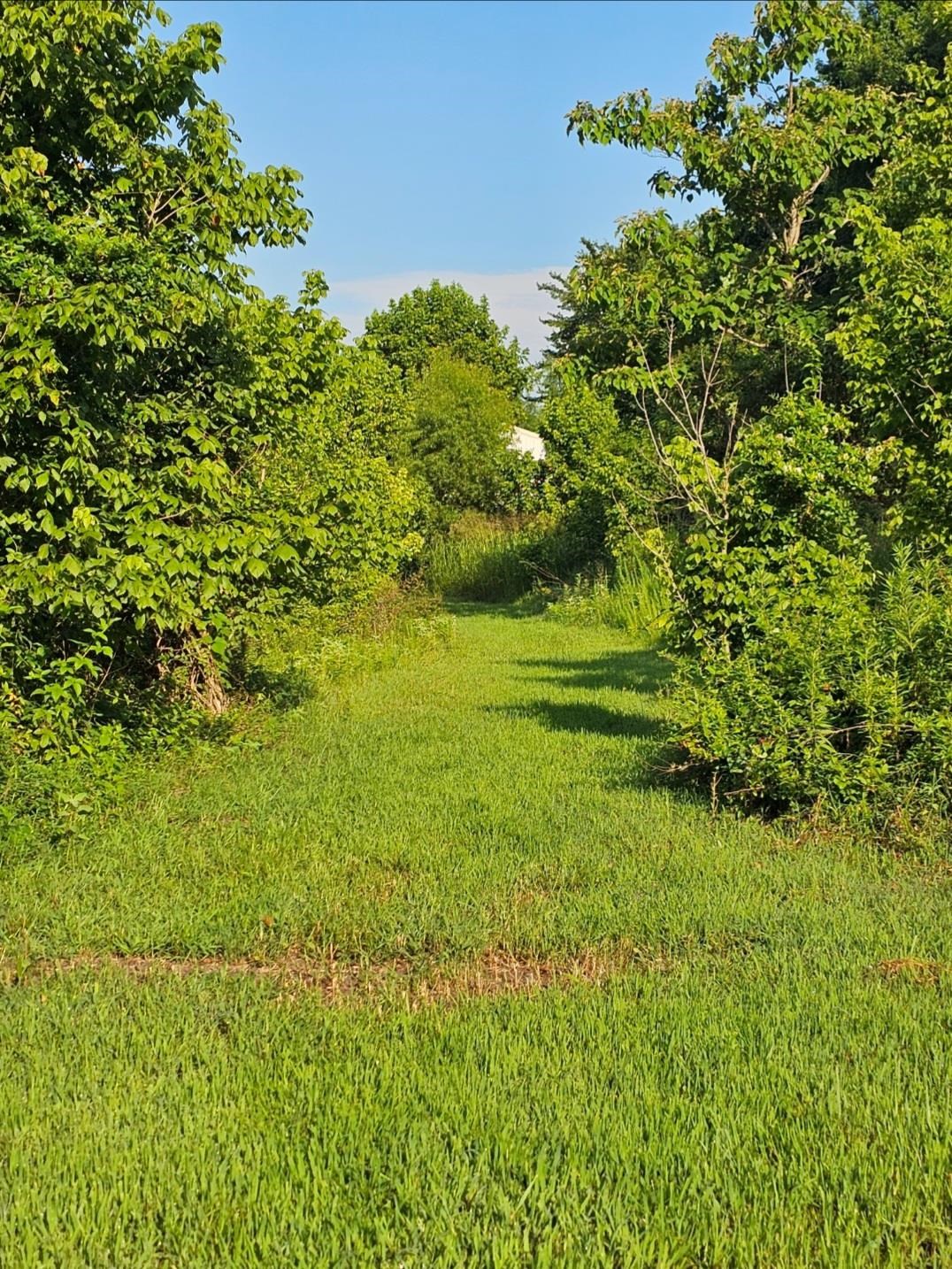1624 Shiloh Road Covington, TN 38019 - Photo 3 of 9 Gallery Image 3